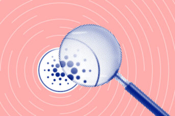 Cardano
